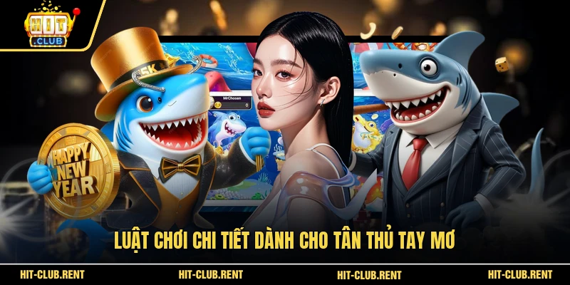 Bắn Cá Hải Tặc - Tham Gia Cuộc Săn Vàng Giữa Đại Dương 2 Luật chơi chi tiết dành cho tân thủ tay mơ